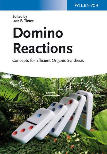 Domino Reactions — Группа авторов