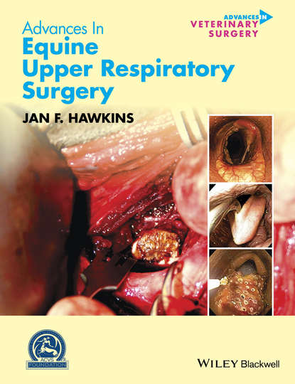 Advances in Equine Upper Respiratory Surgery — Группа авторов