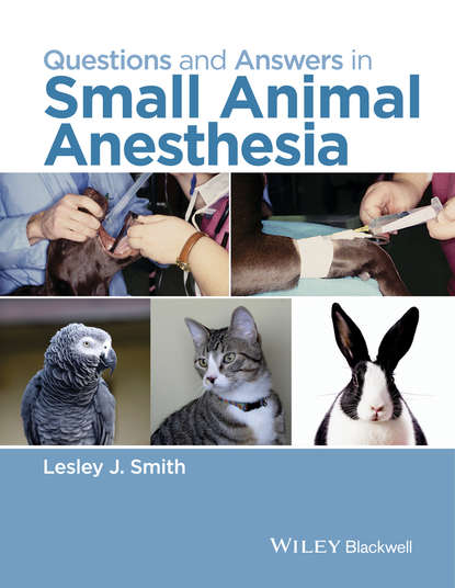 Questions and Answers in Small Animal Anesthesia — Группа авторов