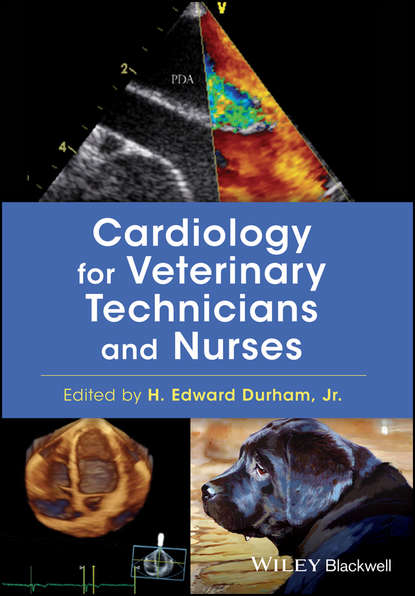 Cardiology for Veterinary Technicians and Nurses — Группа авторов