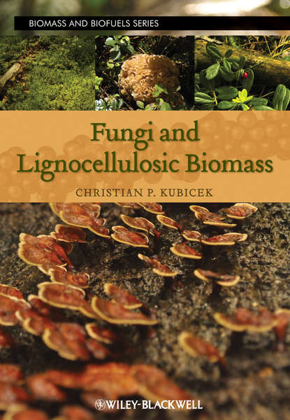 Fungi and Lignocellulosic Biomass — Группа авторов