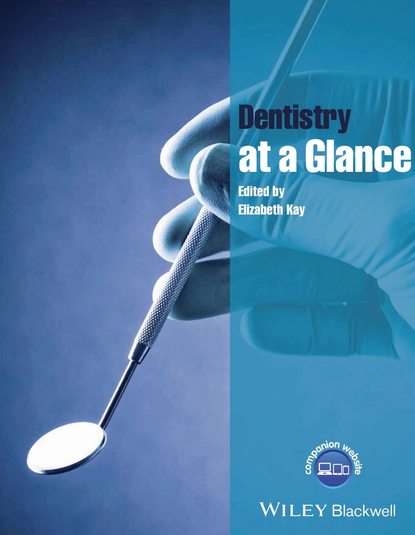 Dentistry at a Glance — Группа авторов