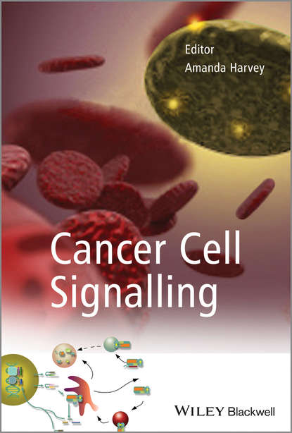 Cancer Cell Signalling — Группа авторов