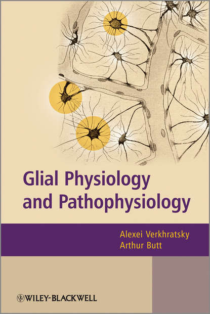 Glial Physiology and Pathophysiology — Группа авторов