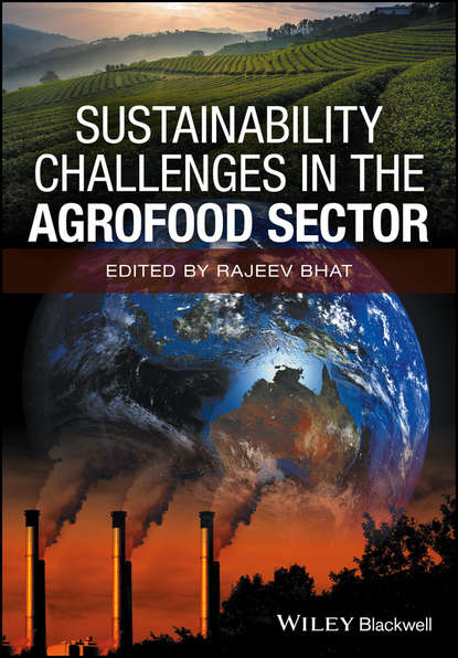 Sustainability Challenges in the Agrofood Sector — Группа авторов