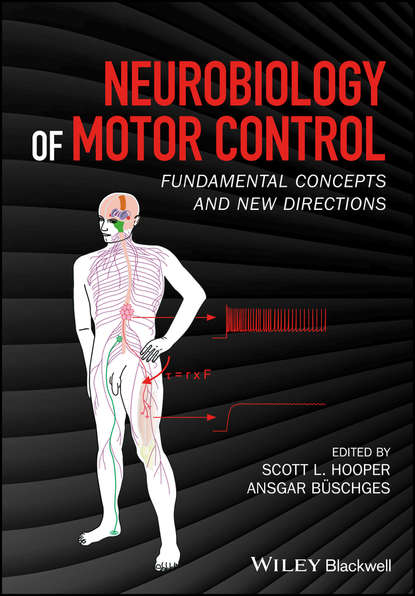 Neurobiology of Motor Control — Группа авторов