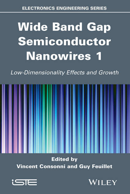 Wide Band Gap Semiconductor Nanowires 1 — Группа авторов