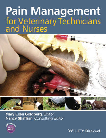 Pain Management for Veterinary Technicians and Nurses — Группа авторов