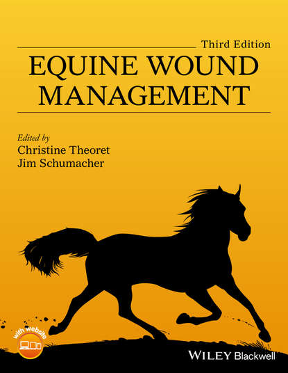 Equine Wound Management — Группа авторов