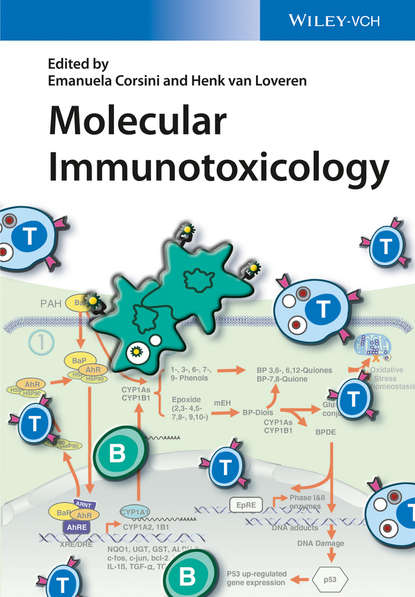 Molecular Immunotoxicology — Группа авторов