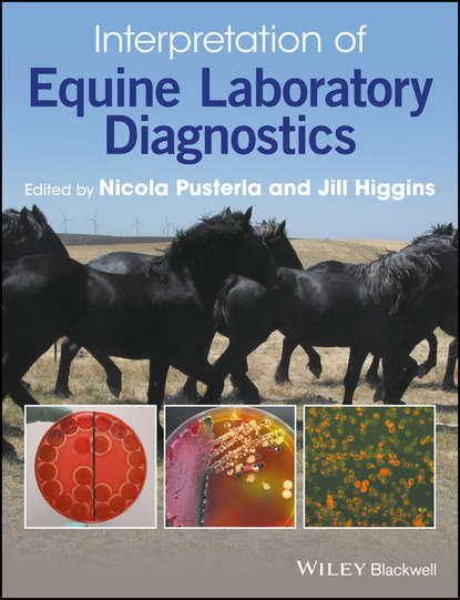 Interpretation of Equine Laboratory Diagnostics — Группа авторов