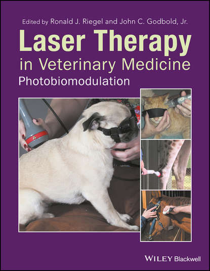 Laser Therapy in Veterinary Medicine — Группа авторов