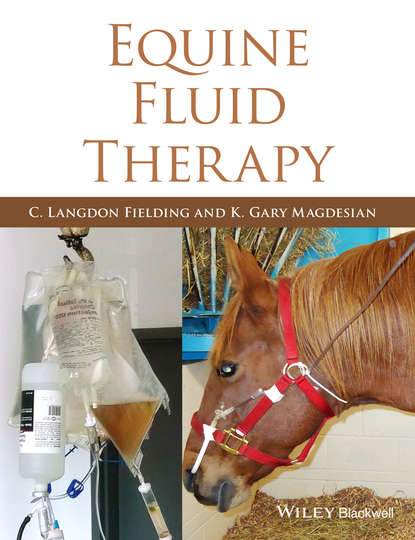 Equine Fluid Therapy — Группа авторов