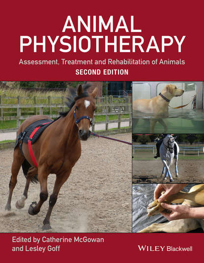 Animal Physiotherapy — Группа авторов
