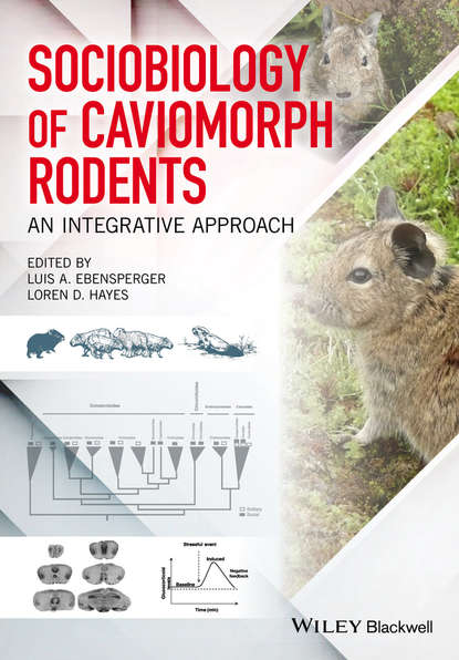 Sociobiology of Caviomorph Rodents — Группа авторов