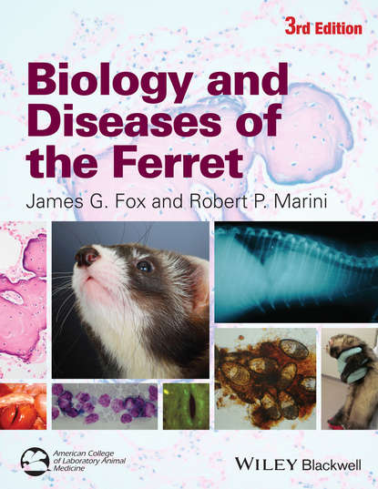 Biology and Diseases of the Ferret — Группа авторов