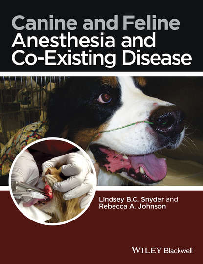 Canine and Feline Anesthesia and Co-Existing Disease — Группа авторов