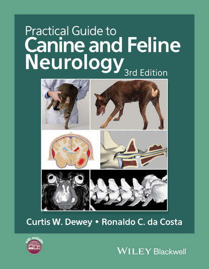 Practical Guide to Canine and Feline Neurology — Группа авторов