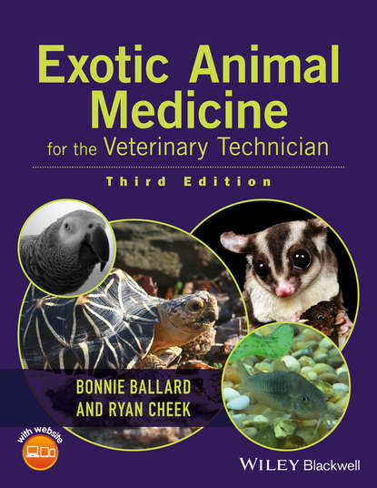 Exotic Animal Medicine for the Veterinary Technician — Группа авторов