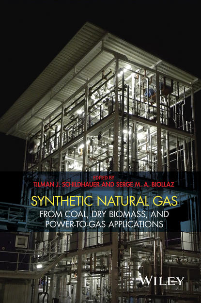 Synthetic Natural Gas — Группа авторов