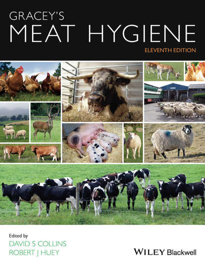 Gracey's Meat Hygiene — Группа авторов