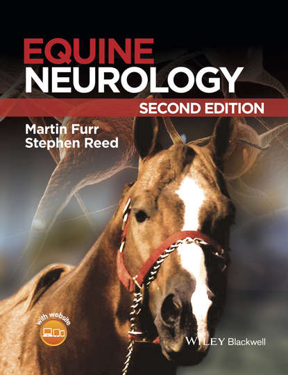 Equine Neurology — Группа авторов