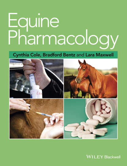 Equine Pharmacology — Группа авторов