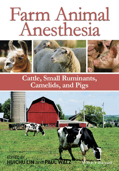 Farm Animal Anesthesia — Группа авторов