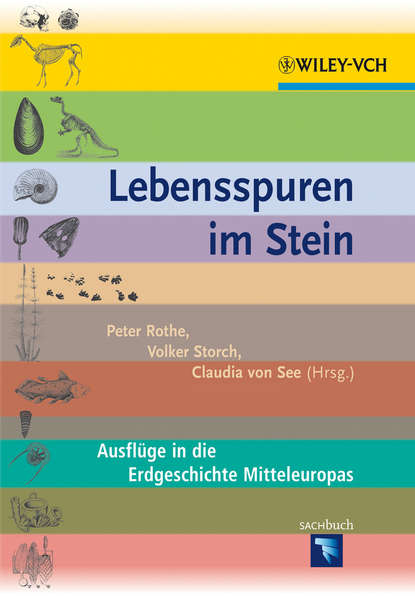 Lebensspuren im Stein - Группа авторов