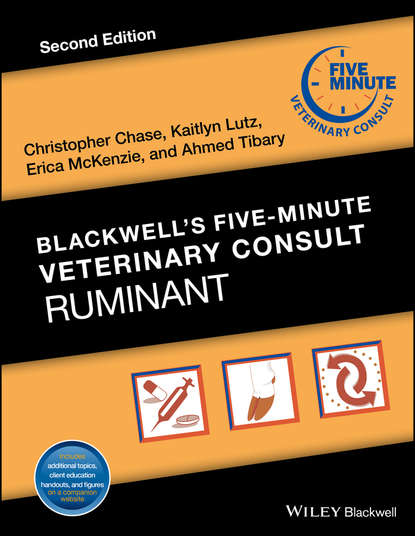 Blackwell's Five-Minute Veterinary Consult: Ruminant — Группа авторов
