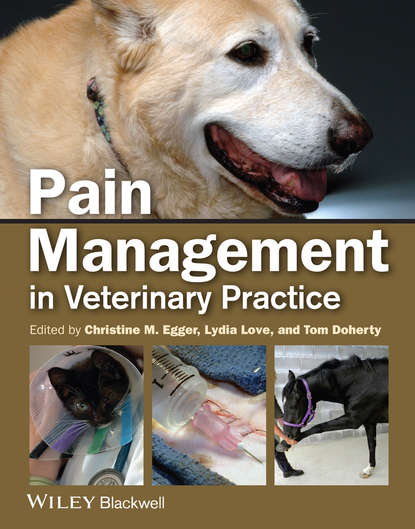 Pain Management in Veterinary Practice — Группа авторов