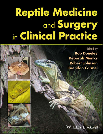 Reptile Medicine and Surgery in Clinical Practice — Группа авторов