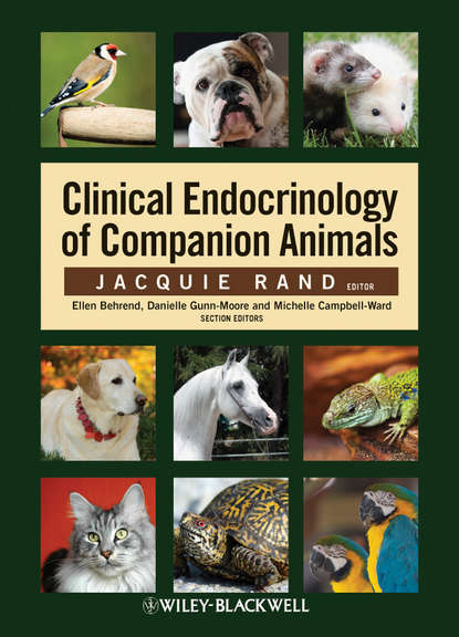 Clinical Endocrinology of Companion Animals — Группа авторов