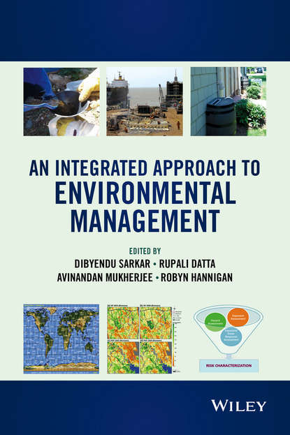An Integrated Approach to Environmental Management — Группа авторов