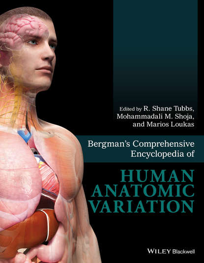 Bergman's Comprehensive Encyclopedia of Human Anatomic Variation — Группа авторов