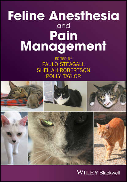 Feline Anesthesia and Pain Management — Группа авторов