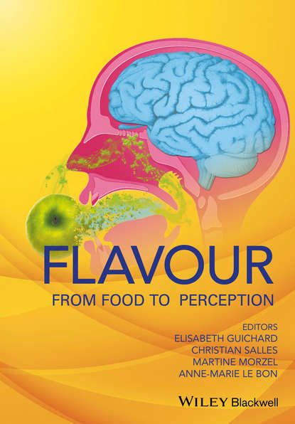 Flavour — Группа авторов