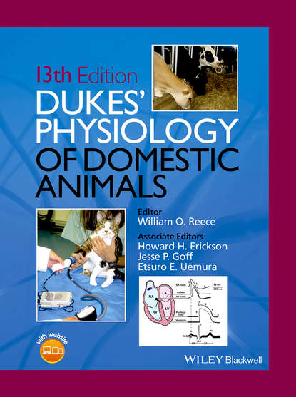 Dukes' Physiology of Domestic Animals — Группа авторов