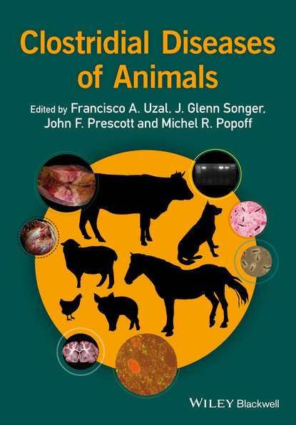 Clostridial Diseases of Animals — Группа авторов