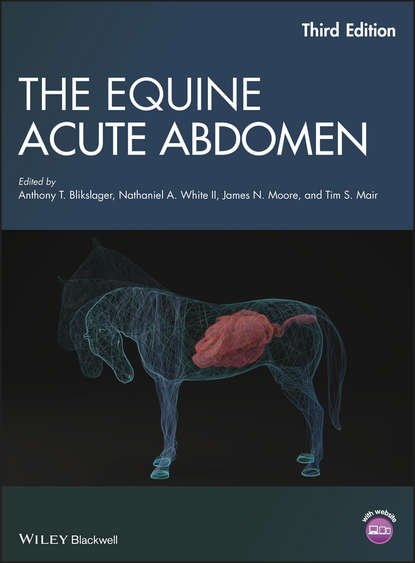 The Equine Acute Abdomen — Группа авторов