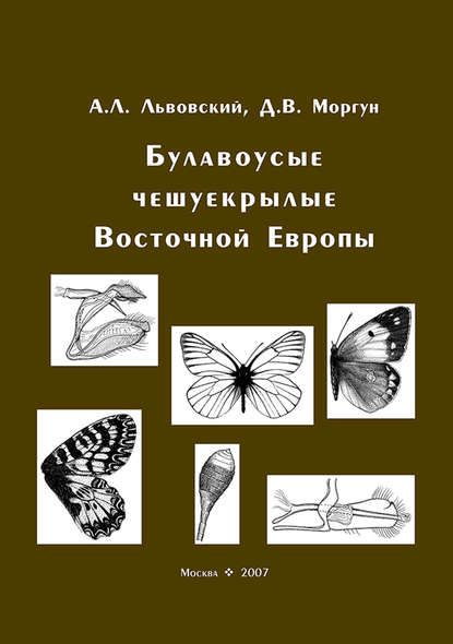 Булавоусые чешуекрылые Восточной Европы — Александр Львовский