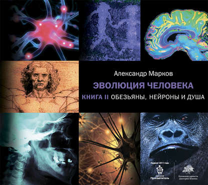 Обезьяны, нейроны и душа — Александр Марков