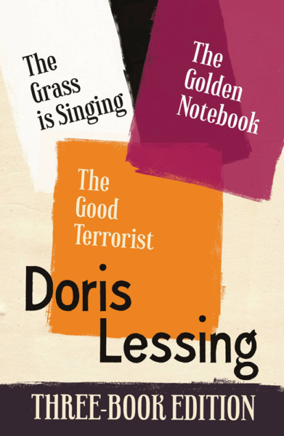 Doris Lessing Three-Book Edition: The Golden Notebook, The Grass is Singing, The Good Terrorist — Дорис Лессинг