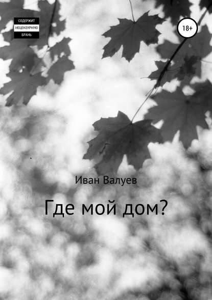 Где мой дом? — Иван Александрович Валуев