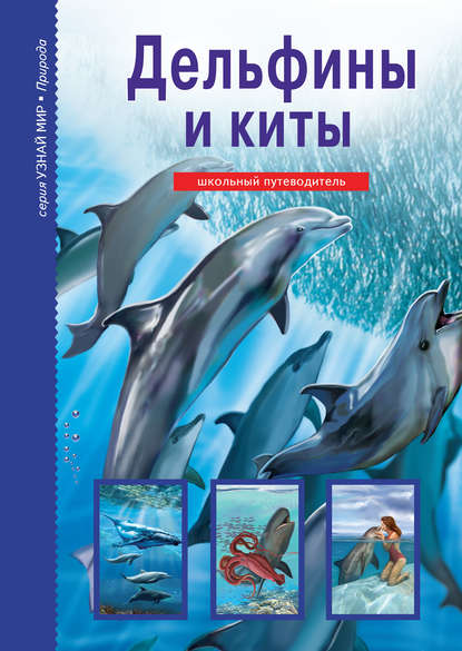 Дельфины и киты — Юлия Дунаева