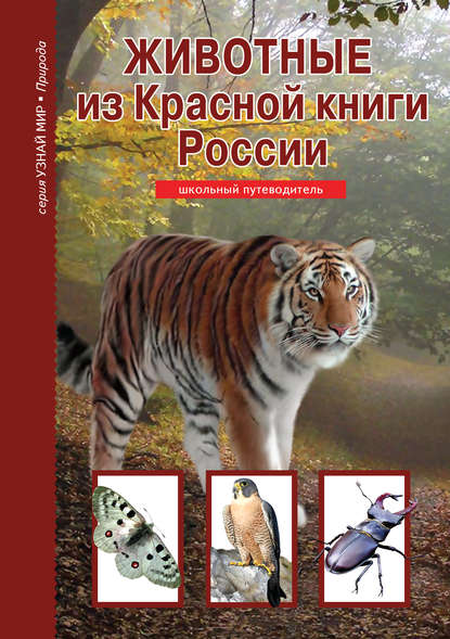 Животные из Красной книги России — Юлия Дунаева