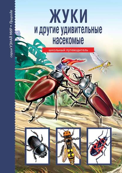 Жуки и другие удивительные насекомые — Сергей Афонькин