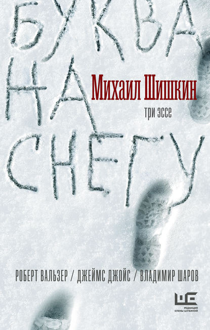 Буква на снегу — Михаил Шишкин