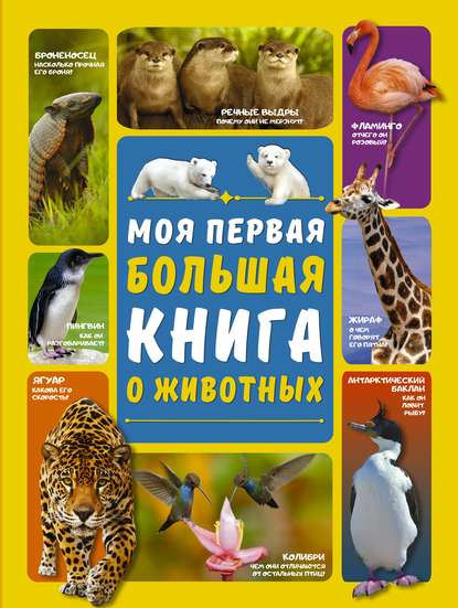 Моя первая большая книга о животных — Д. И. Ермакович