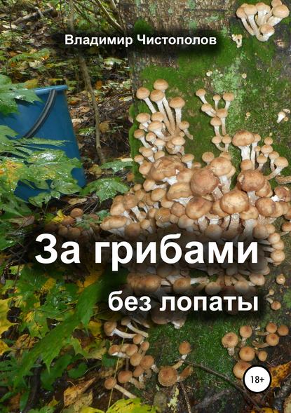 За грибами без лопаты — Владимир Иванович Чистополов